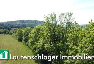 Naturgewachsene Fläche