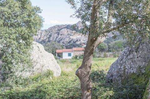 Sant Antonio di Gallura Häuser, Sant Antonio di Gallura Haus kaufen