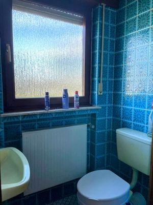 EG Gäste WC.jpg