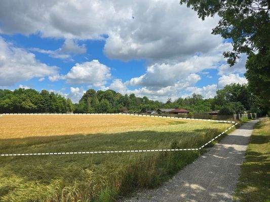 Grundstück (landwirtschaftliche Nutzung)