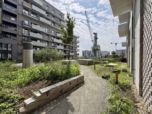 Gemeinschaftlich genuzter Garten