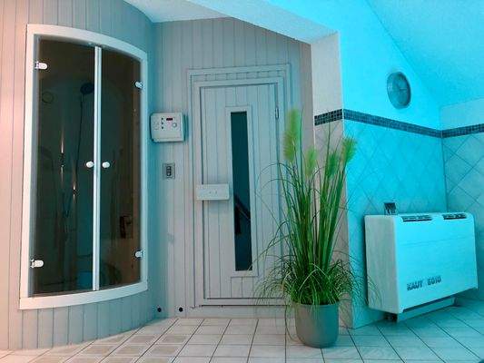 Sauna und Dampdbad