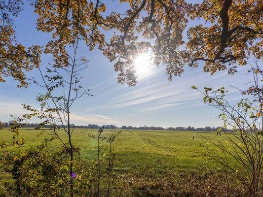 Das könnte Ihr Ausblick sein!