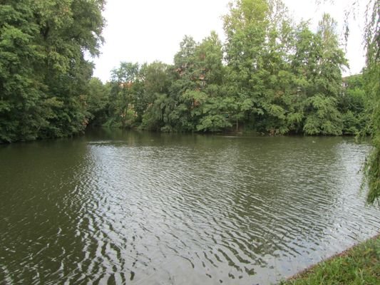 Blick vom gegenüberliegenden Ufer aufs Wohngebäude