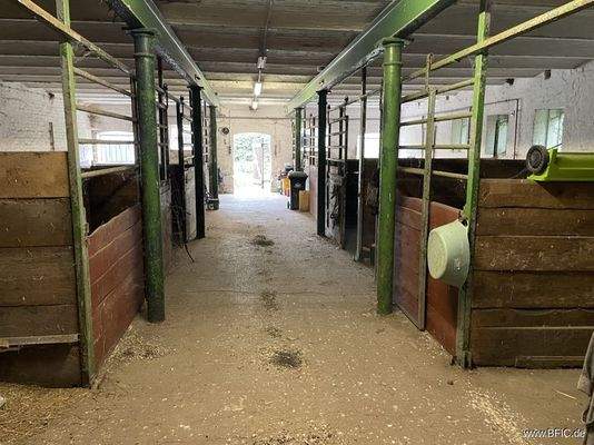Pferdestall innen
