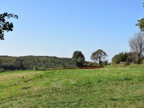 Vizinada Bauernhöfe, Landwirtschaft, Vizinada Forstwirtschaft