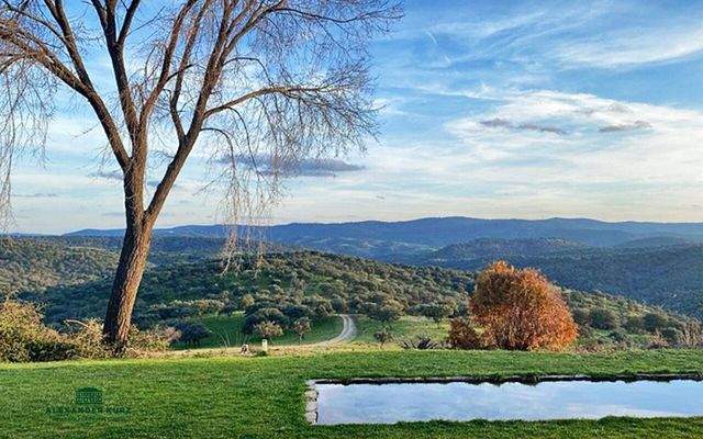 Jagdrevier, Immobilien-Kurz-Salzburg