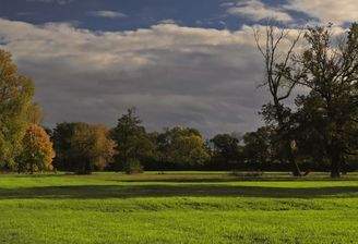 Mainauenlandschaft im herbst.jpg
