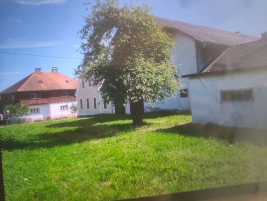 Rarität in der Thermenregion
