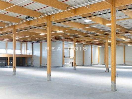 Innenansicht Hallenfläche