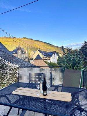 Blick in die Weinberge von der Terrasse (45 qm)