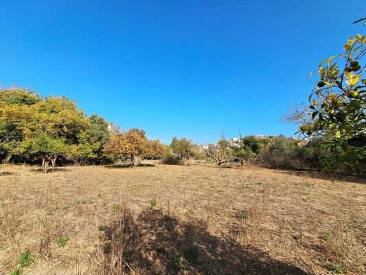 Kreta, Armeni: Erstklassiges Baugrundstück mit Bergblick, Obstgarten und Strandnähe