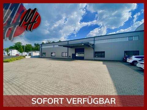 Darmstadt Halle, Darmstadt Hallenfläche