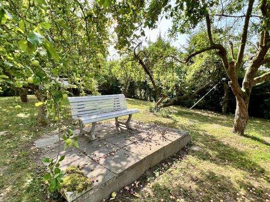 Mitten in der Obstwiese