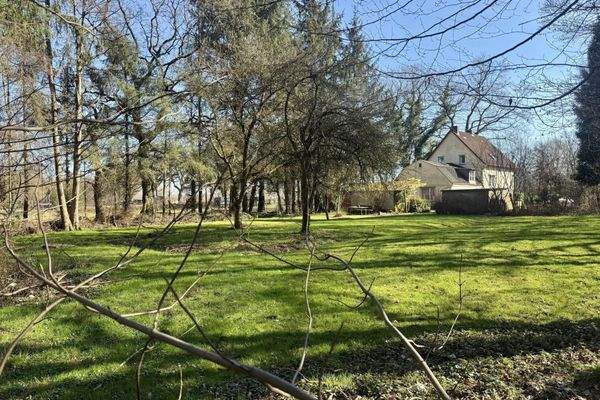 viel Platz im Garten