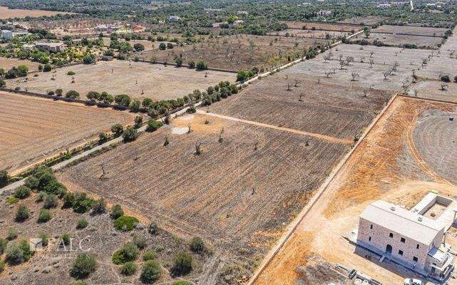 Grundstück-Cala Llombards-14