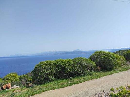 Kreta, Omprogialos: Grundstück mit unverbaubarem Meerblick zu verkaufen