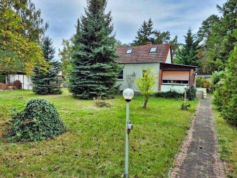 Bad Düben Häuser, Bad Düben Haus kaufen