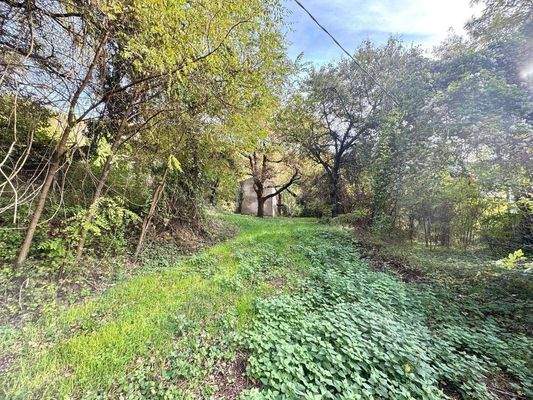 WhatsApp Image 2024-11-05 at 11.23.57.jpeg