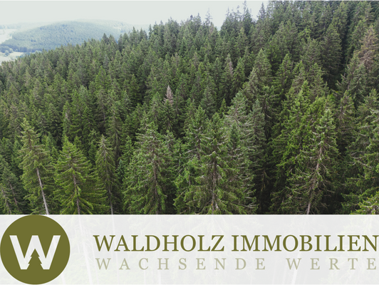 Deckblatt Winterwald Immowelt.png