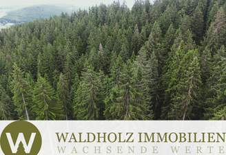 Deckblatt Winterwald Immowelt.png