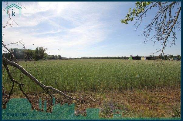 1990 Ausblick vom Garten.jpg