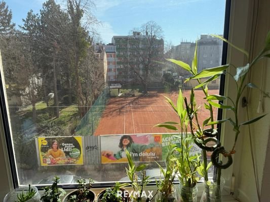 Ausblick