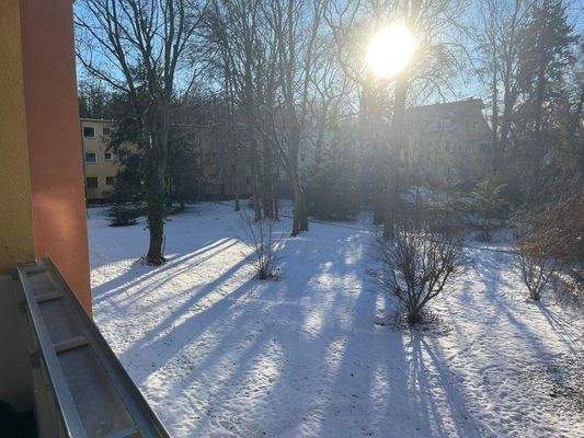 BLICK in den WINTERGARTEN