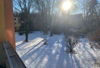 BLICK in den WINTERGARTEN