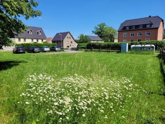 Blick über das Grundstück Richtung Osten