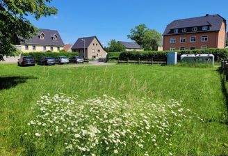 Blick über das Grundstück Richtung Osten