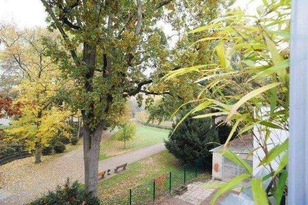 Original-Blick aus Fenster - 1A-City Brentanopark