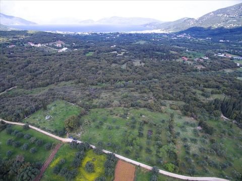 Kefalonia Bauernhöfe, Landwirtschaft, Kefalonia Forstwirtschaft