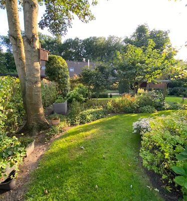 Ausblick in den Garten