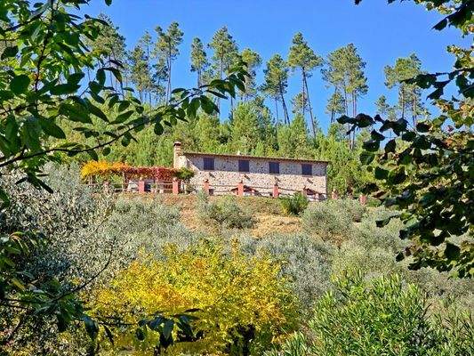 20251016_120626 - 1K JPEG.jpg