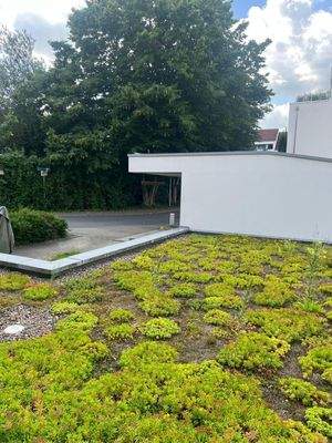 WhatsApp Image 2025-08-10 at 14.36.18 (8)