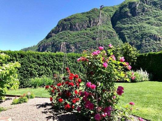 PHOTO-2026-01-08-10-37-02