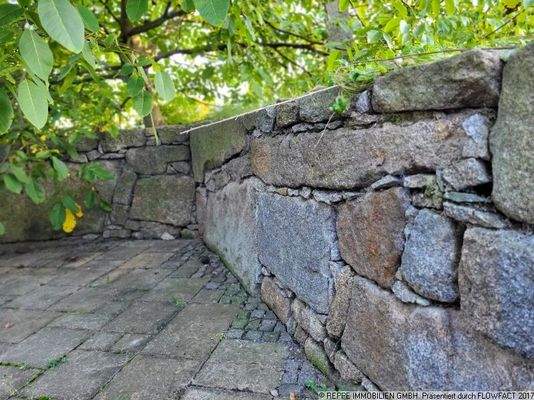 Detail Trockenmauer mit Nußbaum