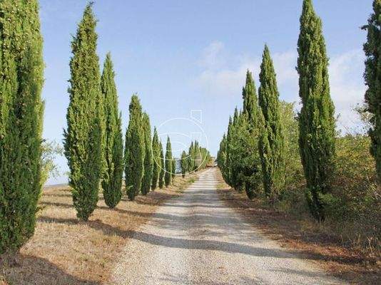 Idyllisches Anwesen | Trequanda