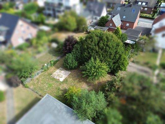 Grundstück hinten.jpg