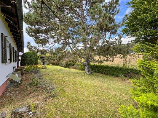 Rückwärtiger Garten