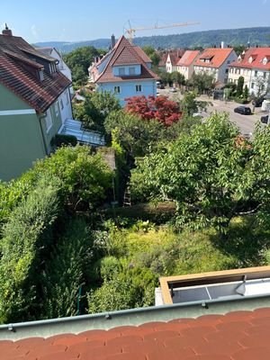 Blick zum Garten.jpg