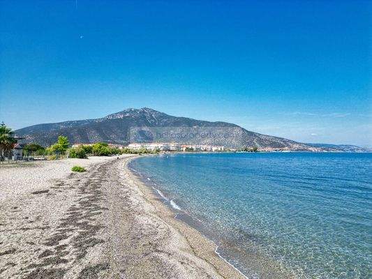 a008e5e407f74f29b16498dcdce7670e-original