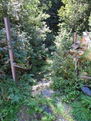 Zugang zum Fischteich 