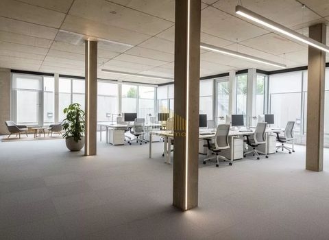 Luxembourg Ladenlokale, Ladenflächen 