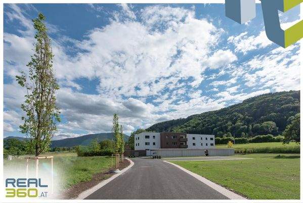 Allee zum Wohnprojekt