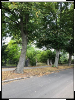 Screenshot 2025-02-08 213731.png