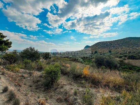 92de381a44e04a5dbb9f757b94993e2c-original