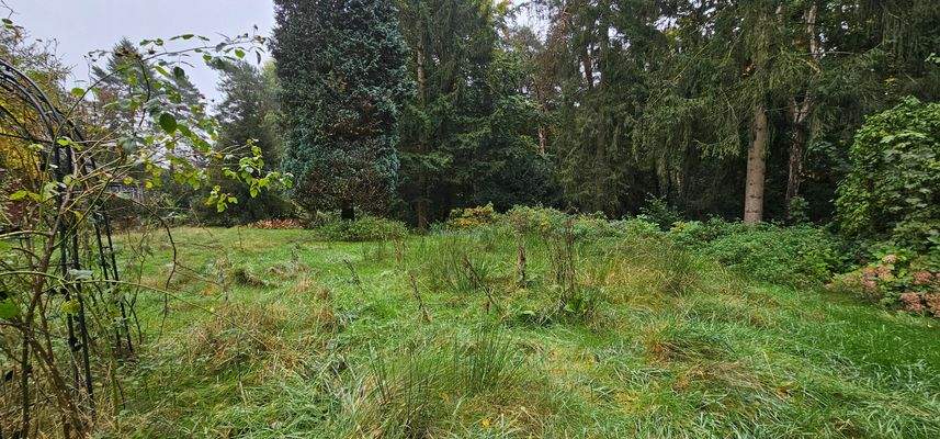 Grundstücksansicht 2.jpg