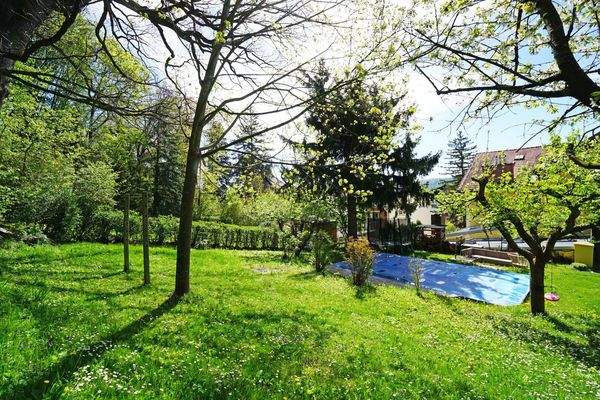 Garten und Swimmingpool